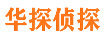 兴隆台市调查公司